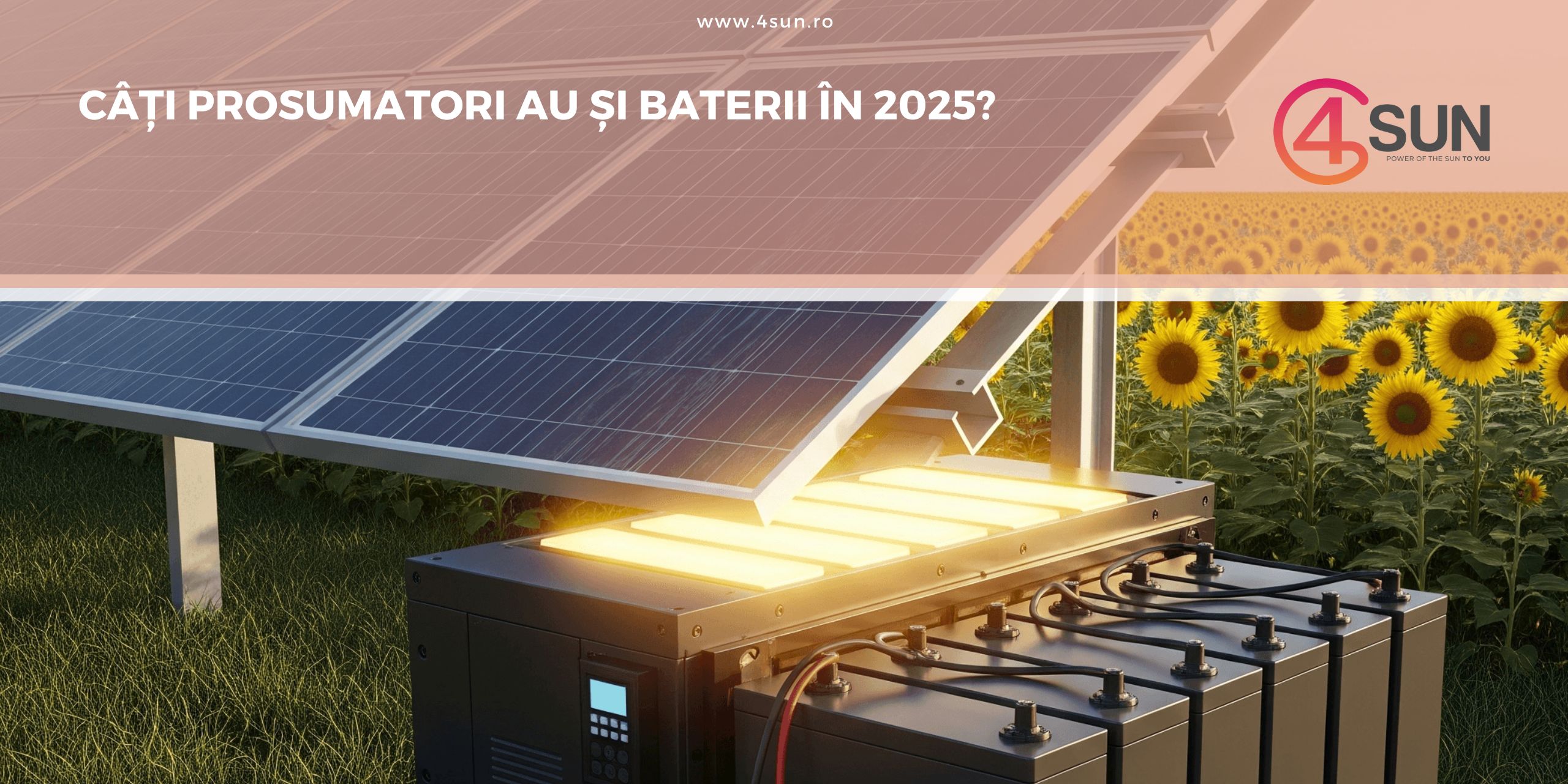 Prosumatori 2025: câți au baterii pentru stocare?